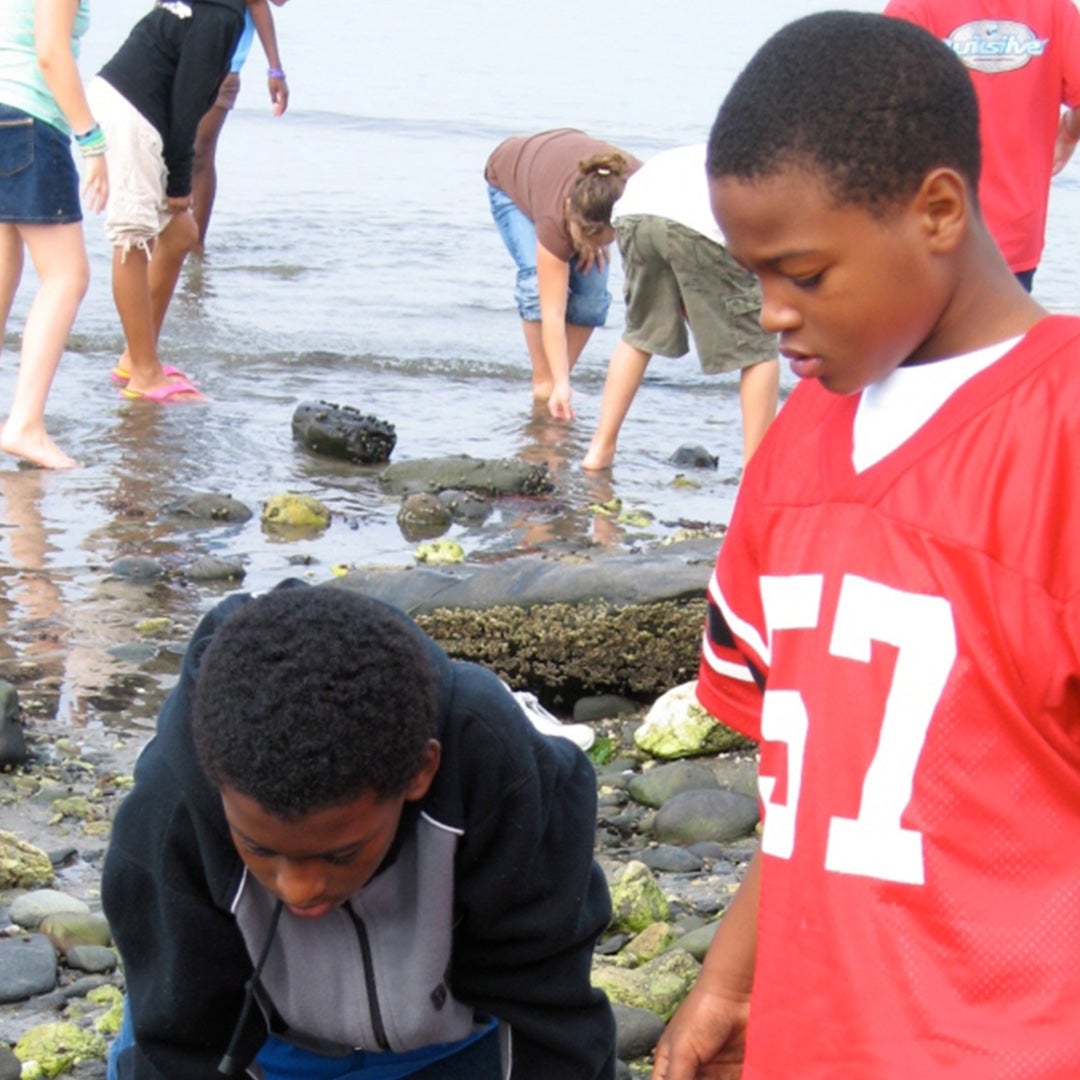 card-ocean-classroom-_0003_card-ocean-classroom-field-programs